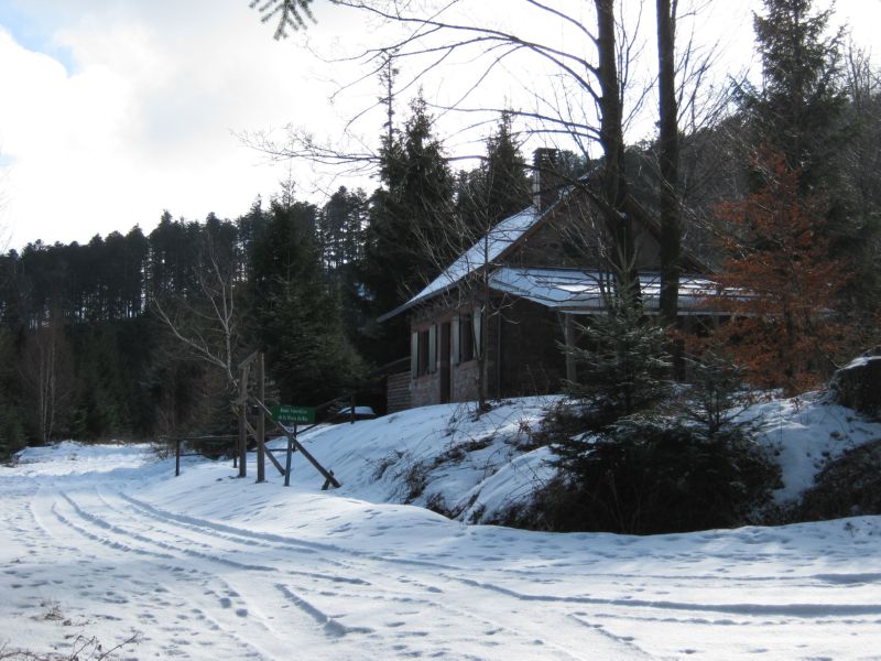 2010-02-20 Grossman (01) some houses along forest road